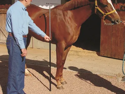 Bastón hipómetro para caballos, de 1,00 a 1,80mt. con nivel