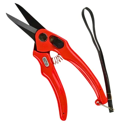TIJERA PARA DESVASAR & DESPEZUÑAR OVINO HOJA DENTADA ROJA – BURGON & BALL