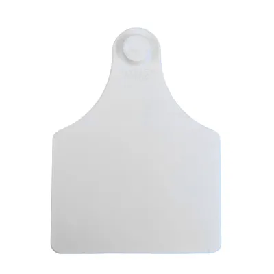 CARAVANA ALLFLEX N°7 MAXI GRANDE – BLANCO
