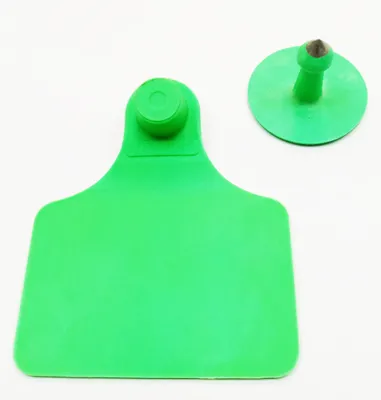 Caravana WALMUR modelo GRANDE, verde