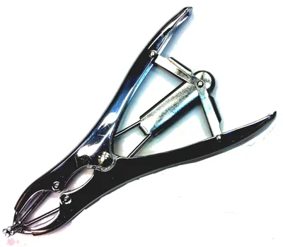 Castrador a goma elástrator, p/terneros. Metal cromado.
