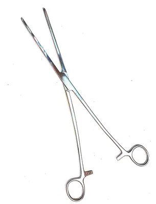 Pinza hemostática Rochester, recta, dentada 20 cm.
